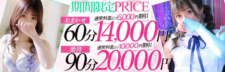 妖精＿料金システム4