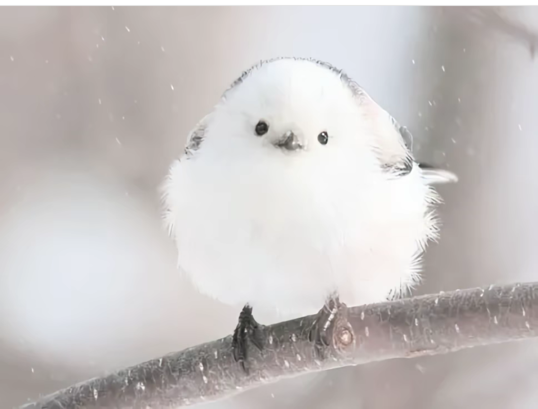 寝不足