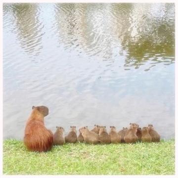 お気を付けて