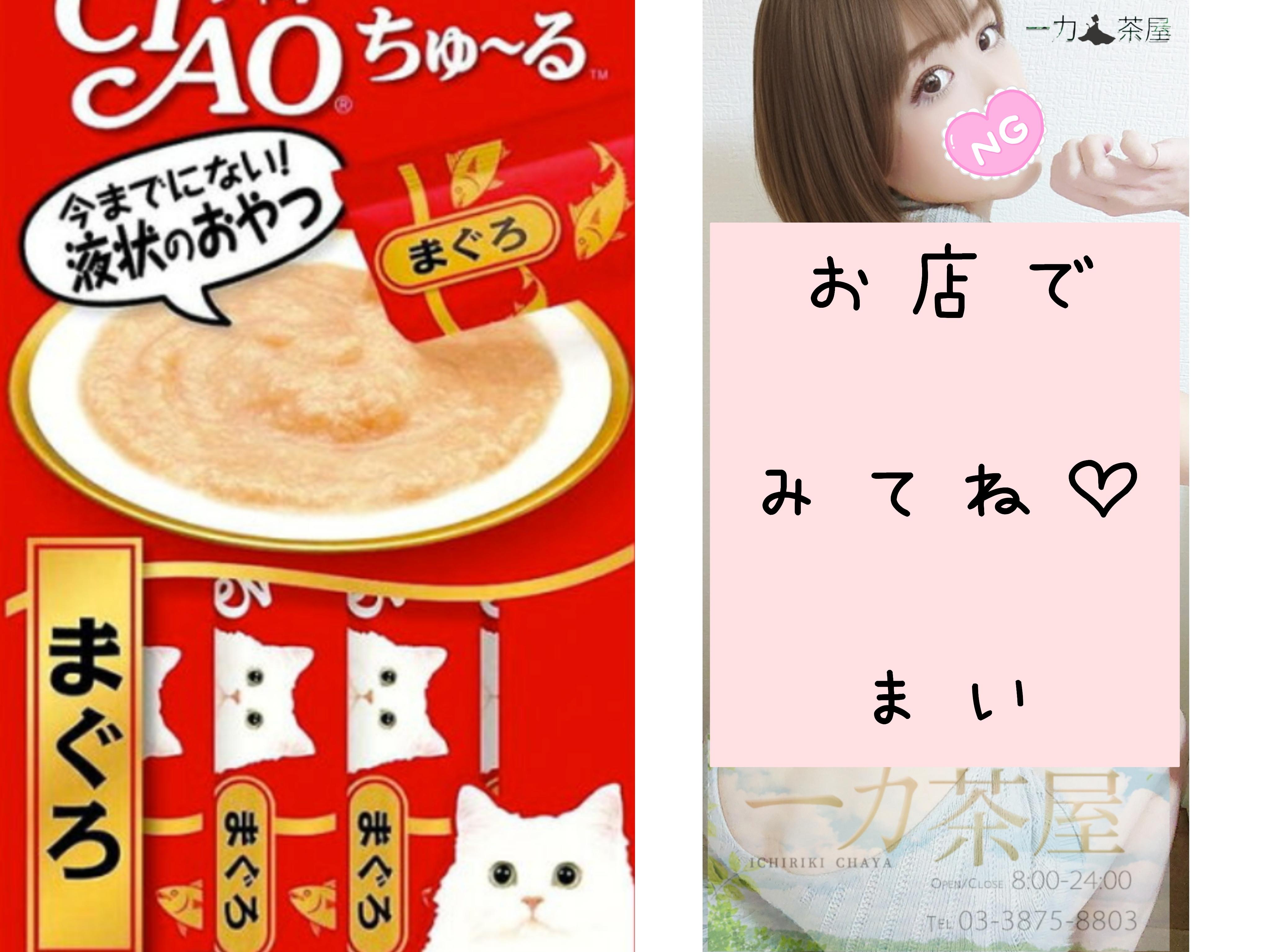 【今日のチュールとシール名刺】