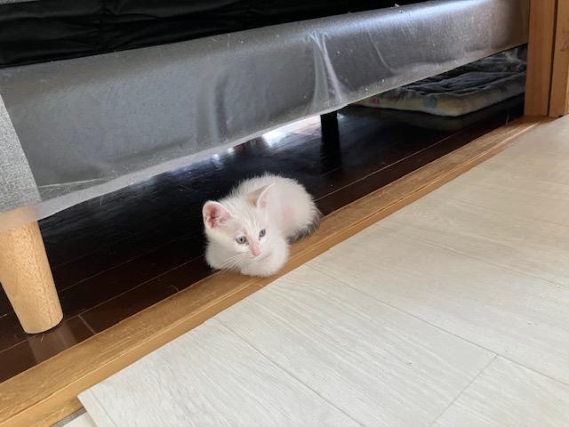 出勤しました<img class="emojione" alt="🌞" title=":sun_with_face:" src="https://fuzoku.jp/assets/img/emojione/1f31e.png"/>