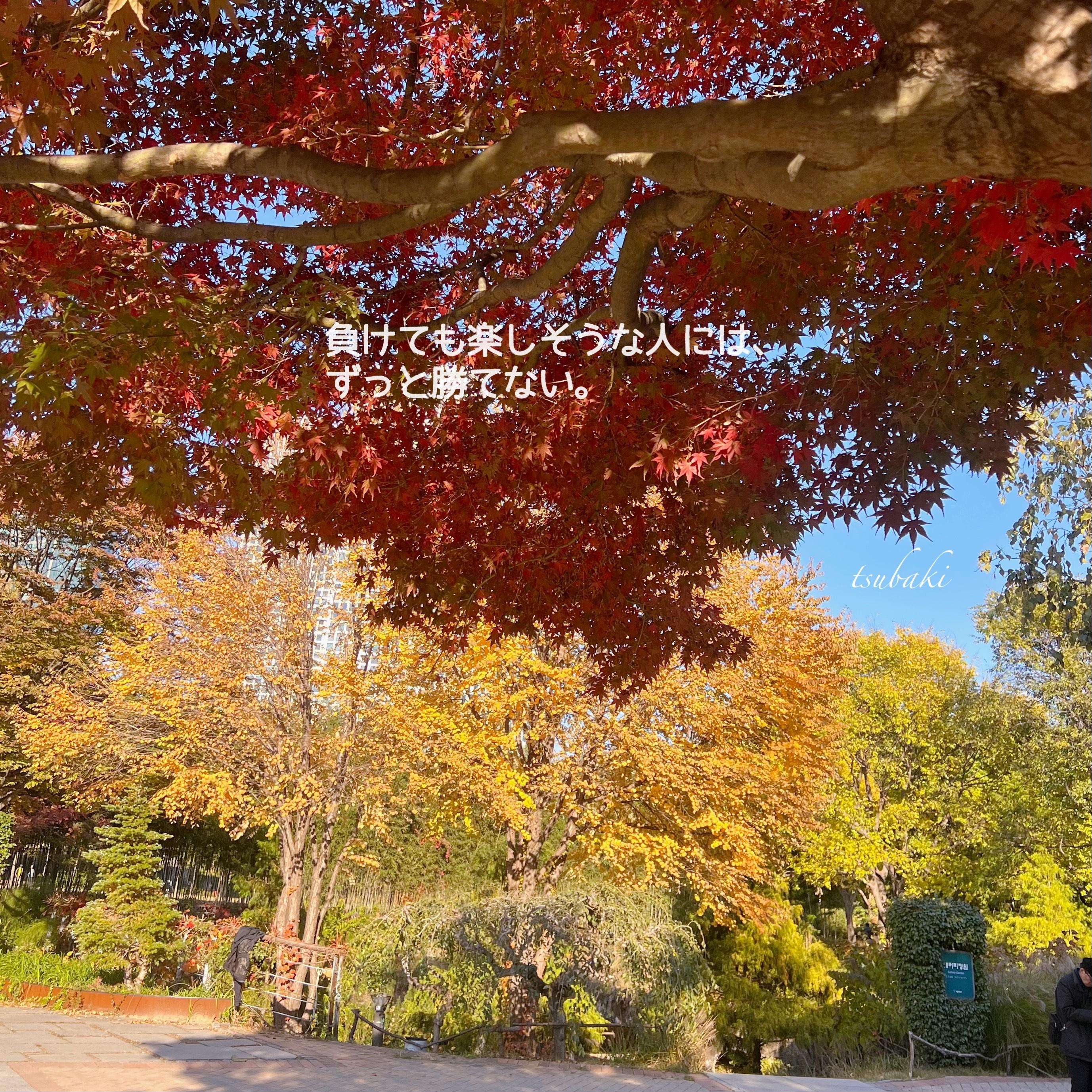 秋好き〜&lrm;🤍 ̖́-