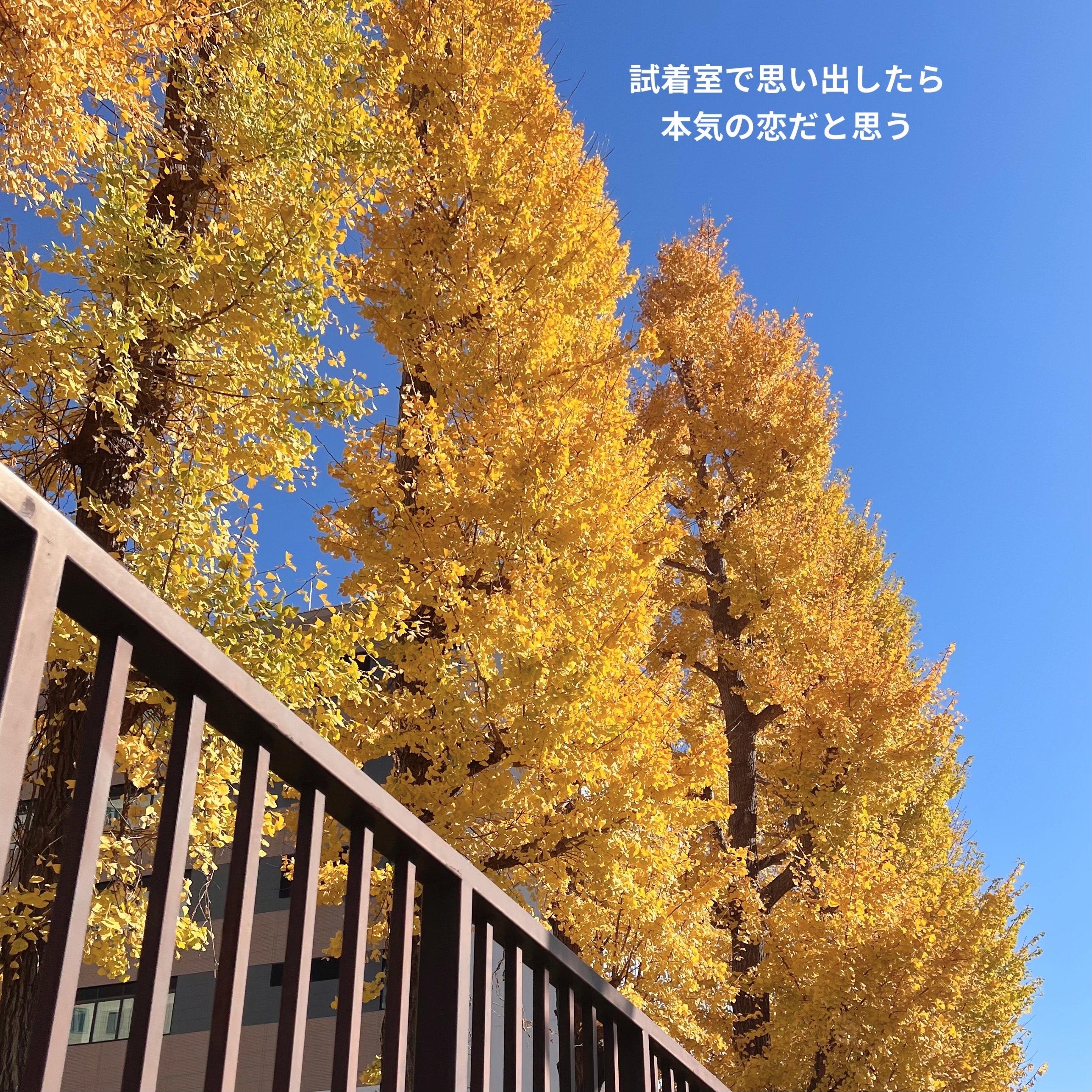 𝙏𝙝𝙖𝙣𝙠 𝙮𝙤𝙪&uml;̮♡