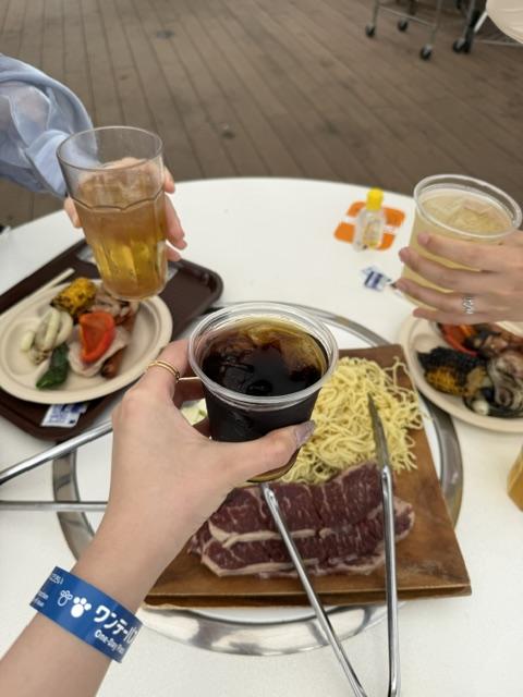 明日12時から！