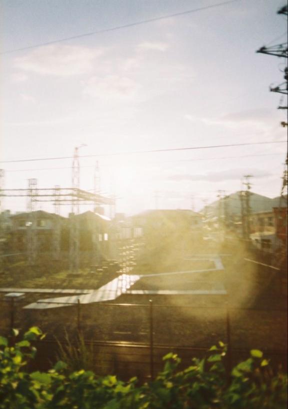 今日も１枚