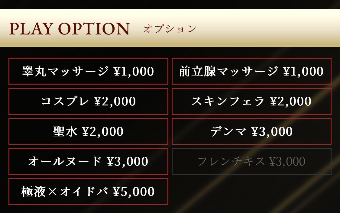 個人オプション一覧