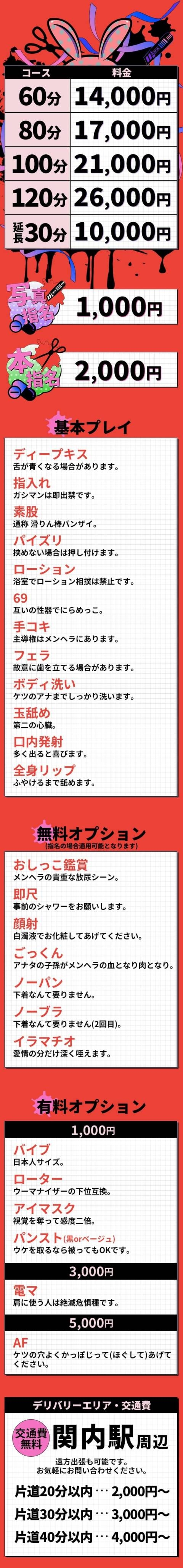 メンヘラ専門デリヘル ゼロワン 横浜本店＿料金システム1