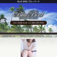 BLUE BIRD（ブルーバード）（メンズエステ）