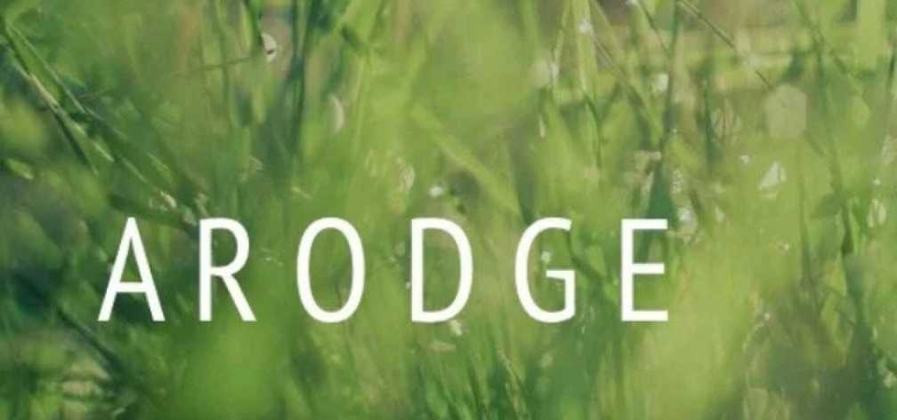 Arodgeのお店の紹介1