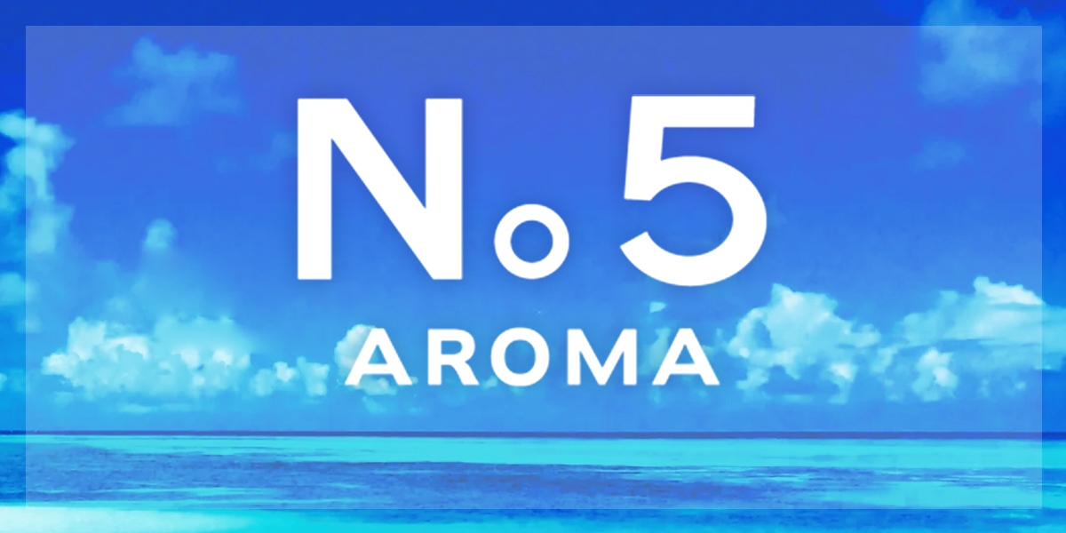 メンズエステ AROMA No5(アロマファイブ)