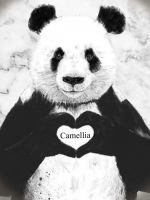 店長 Camellia-カメリア- (博多発)