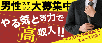 女帝の男性高収入求人