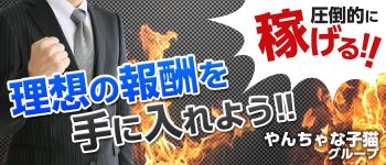 やんちゃな子猫 日本橋の男性高収入求人