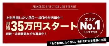 プリンセスセレクション日本橋店の男性高収入求人