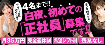 白夜の男性高収入求人
