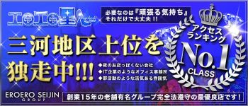 エロエロ星人 豊橋店の男性高収入求人