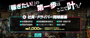 クレオパトラ宇都宮店の男性高収入求人
