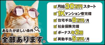 THE PREMIUMの男性高収入求人