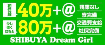 ドリームガールの男性高収入求人