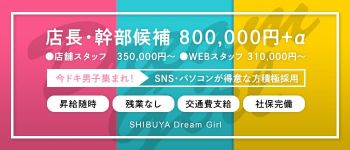 ドリームガールの男性高収入求人