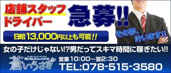 蒼いうさぎの男性高収入求人