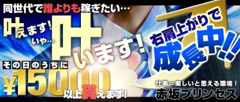 赤坂プリンセスの男性高収入求人