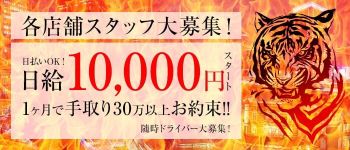 XOXO Hug&Kissグループ(ハグアンドキスグループ)の男性高収入求人