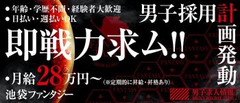 Fantasy(ファンタジー)の男性高収入求人
