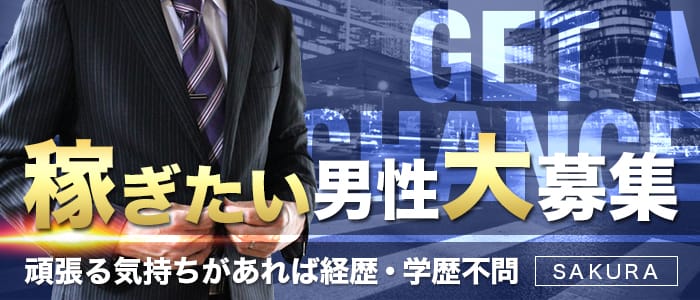 桜の男性高収入求人