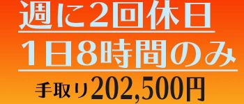 BLUE GIRLの男性高収入求人