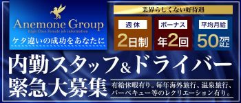 アネモネ Anemone 渋谷の男性高収入求人