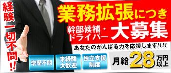 脱がされたい人妻 船橋店の男性高収入求人