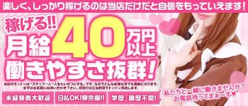 萌の男性高収入求人