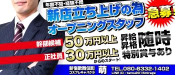 新宿萌の男性高収入求人