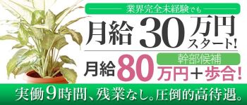 (株)ゲームの男性高収入求人