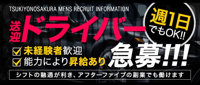 月夜の桜の男性高収入求人