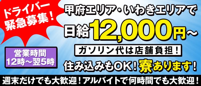 萌えエッチLADIESの男性高収入求人