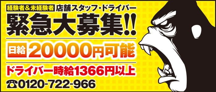 麗しい人妻 新宿本店の男性高収入求人