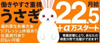 うさぎの男性高収入求人