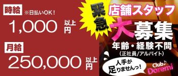 CLUBドレミの男性高収入求人