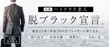 ルネッサンスの男性高収入求人