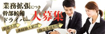 脱がされたい人妻 宇都宮店の男性高収入求人