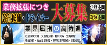脱がされたい人妻 宇都宮店の男性高収入求人