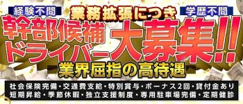 脱がされたい人妻 宇都宮店の男性高収入求人