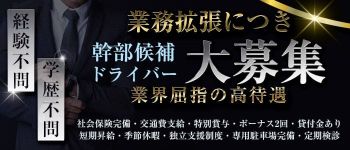 脱がされたい人妻 宇都宮店の男性高収入求人