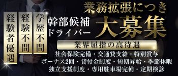 脱がされたい人妻 宇都宮店の男性高収入求人