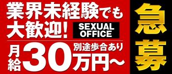 Sexual Officeの男性高収入求人