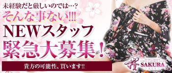 桜 SAKURAの男性高収入求人