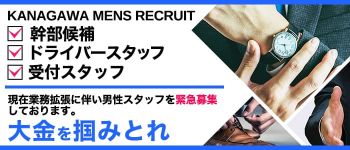 セレブアイモードの男性高収入求人