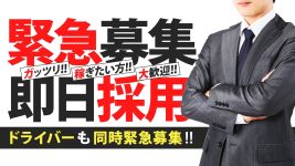 奥様なでしこの男性高収入求人